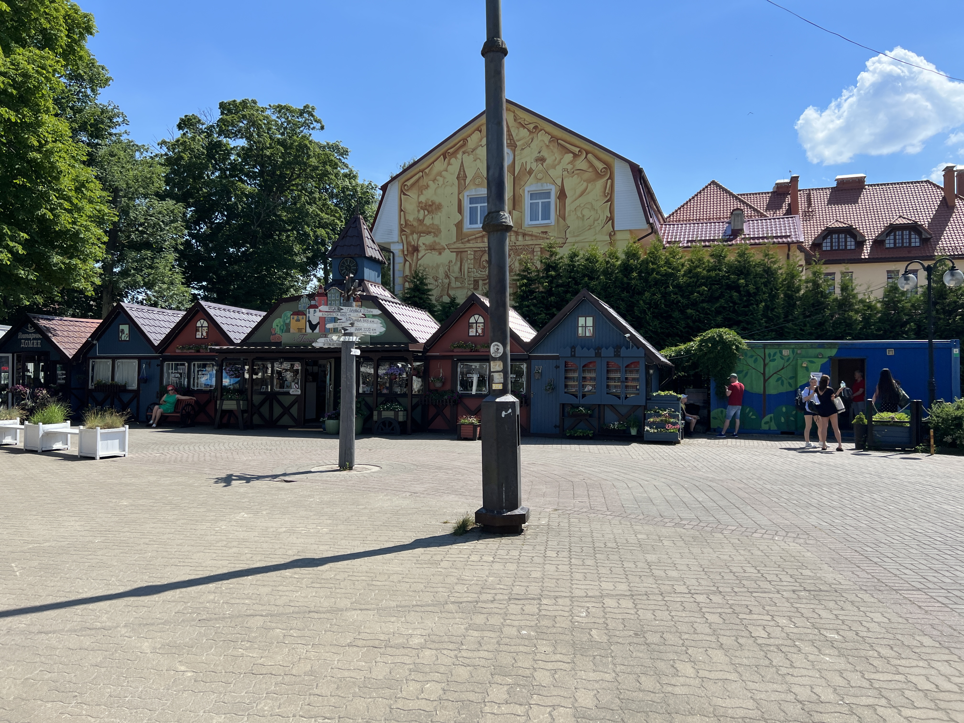 IMG 1353