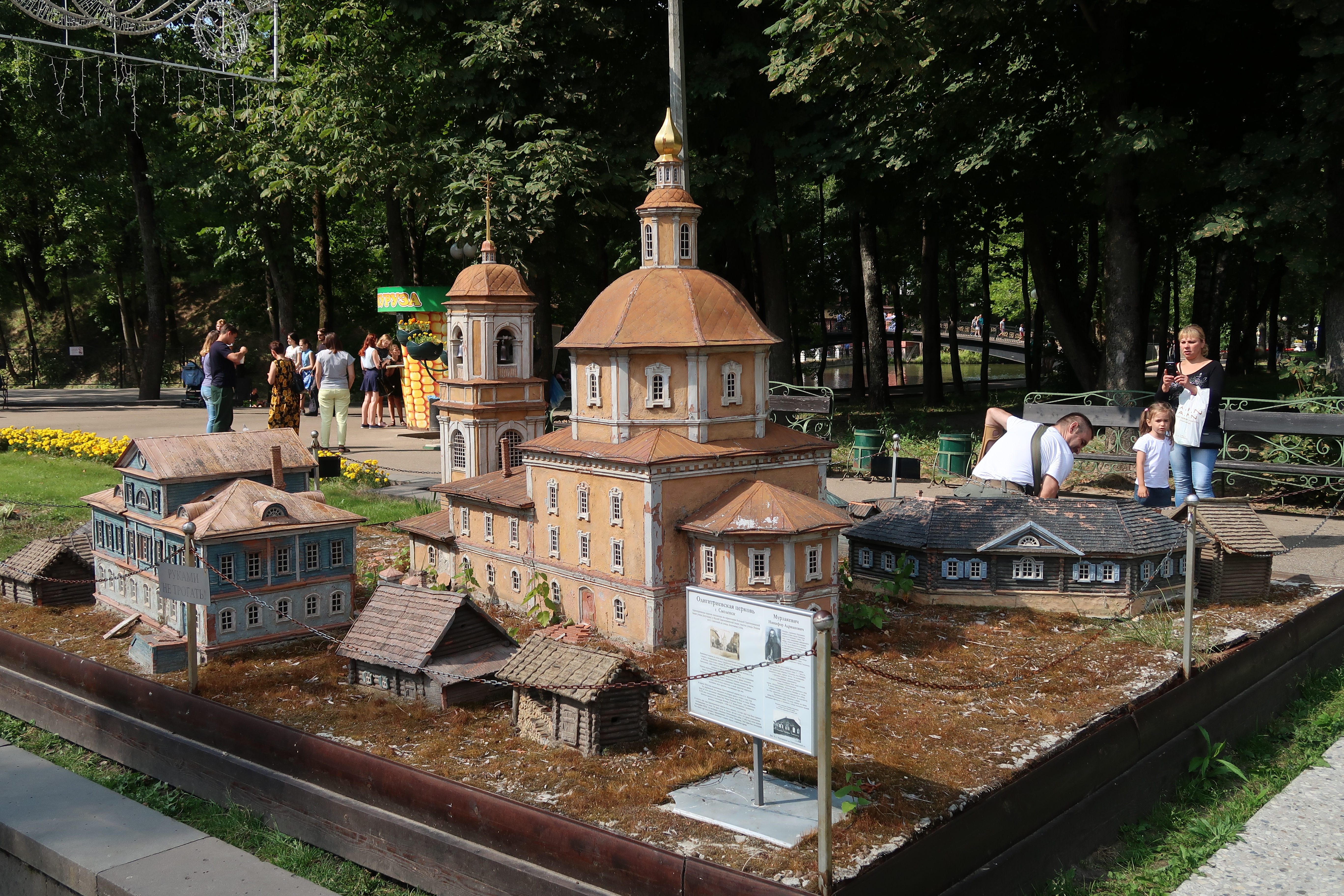 IMG 0861