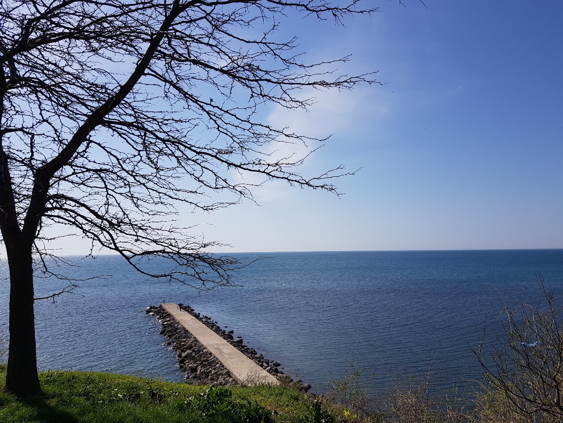 20180410 150541