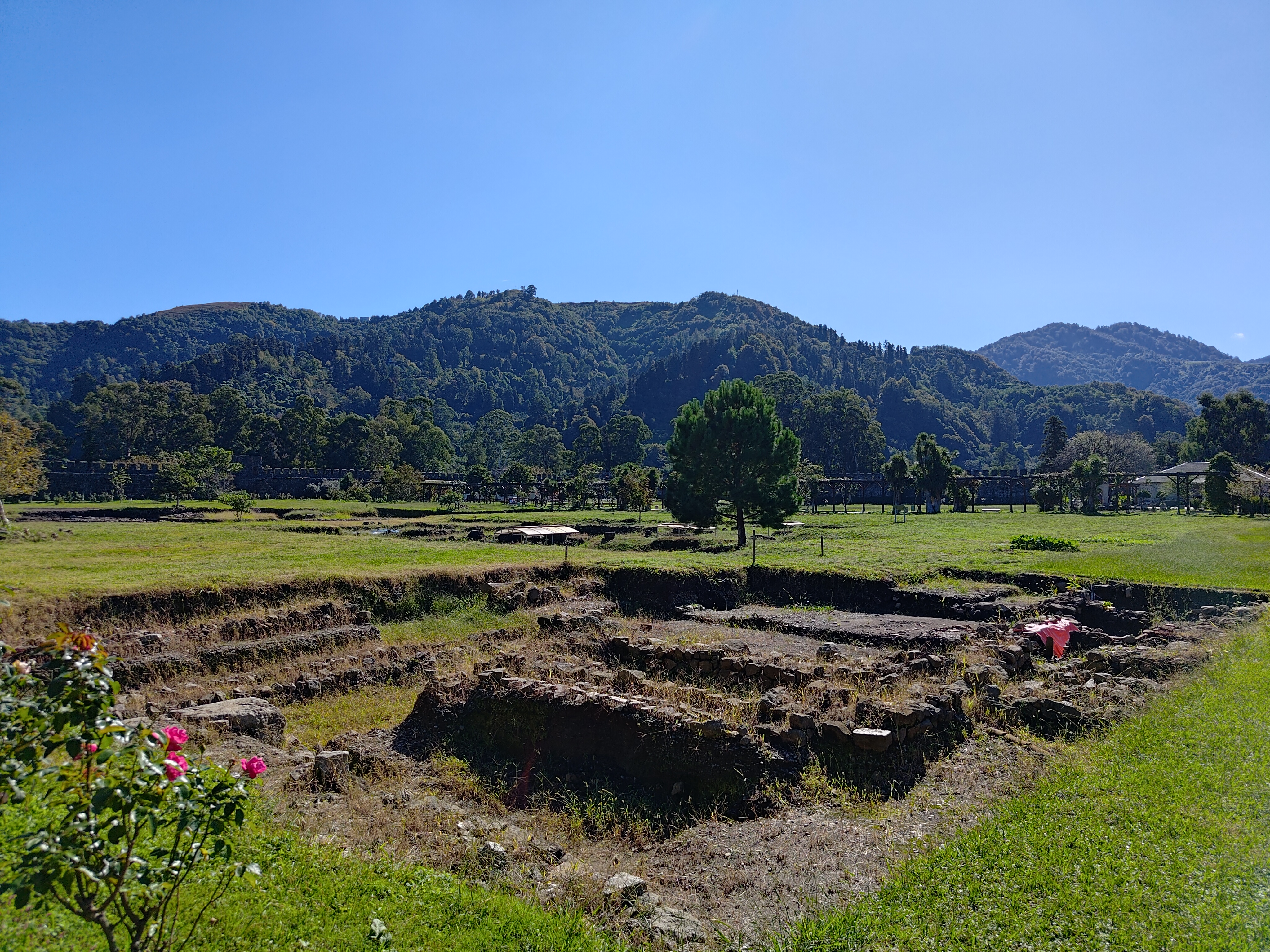 P 20231013 121015
